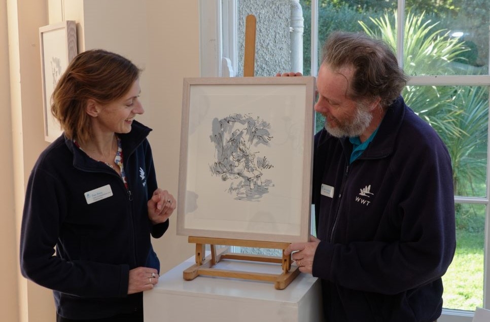 Drawn to Water: Quentin Blake Exhibition Opens at WWT Castle Espie