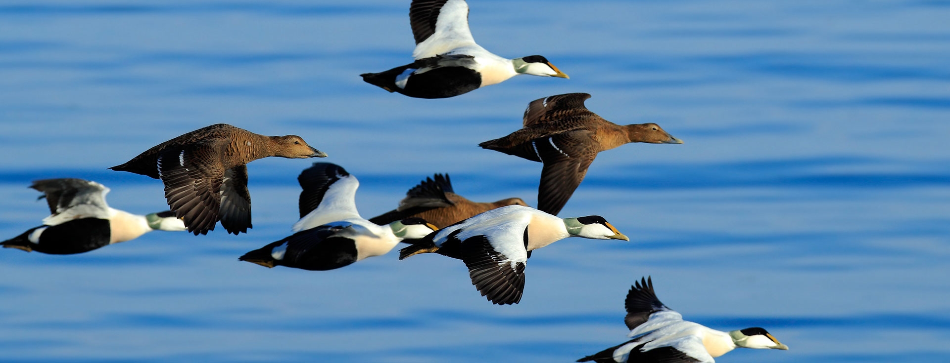 Recent Sightings 22nd September 2025