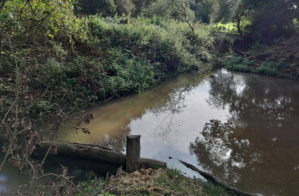 An NFM update in the Thames River Catchment