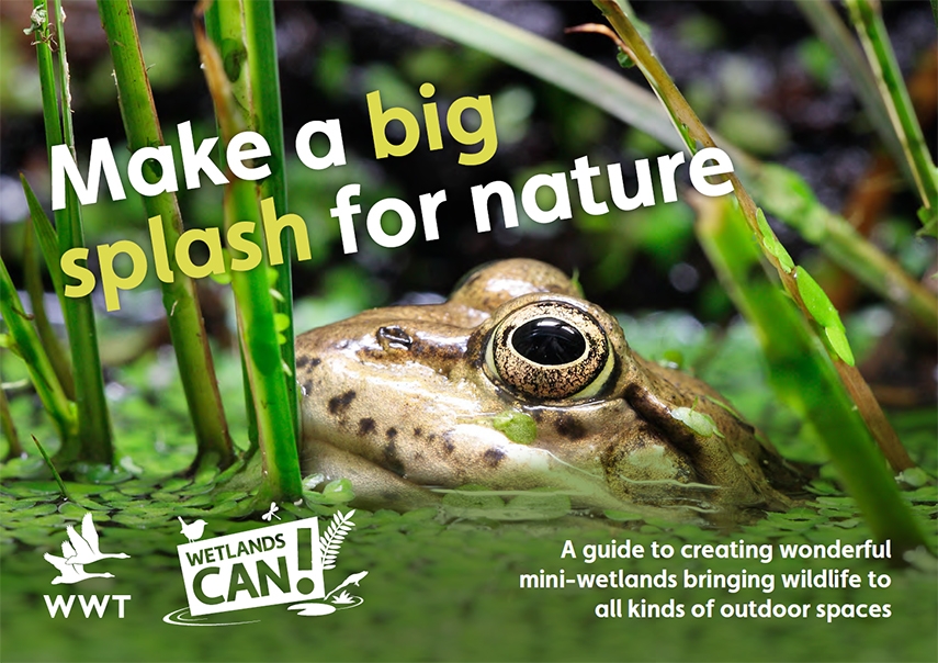 How to create a miniwetland WWT