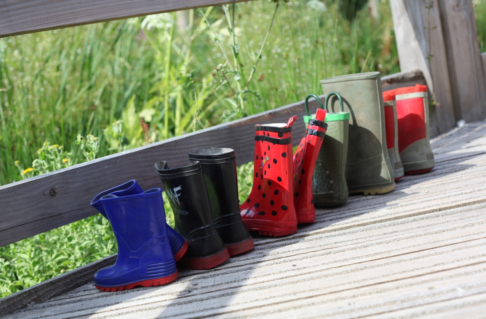 View: Wild Welly Walks
