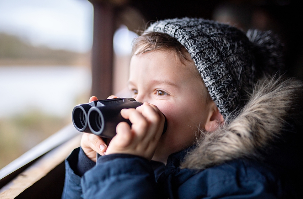 Feathered family fun this February half term