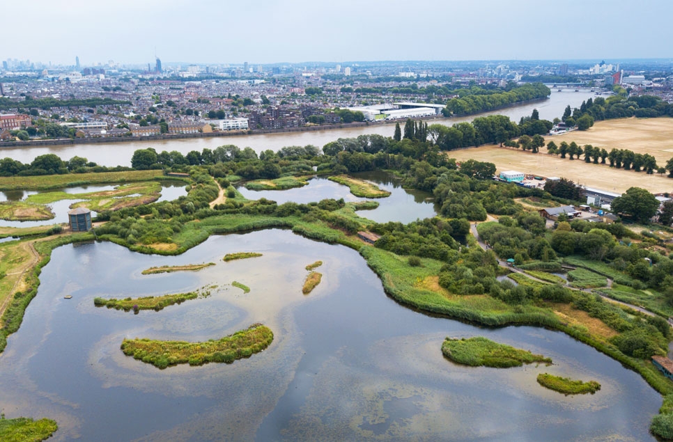 Wetlands - a natural answer to global climate and biodiversity crises