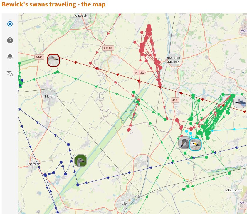 Bewick's map Fens Jan 2024.JPG