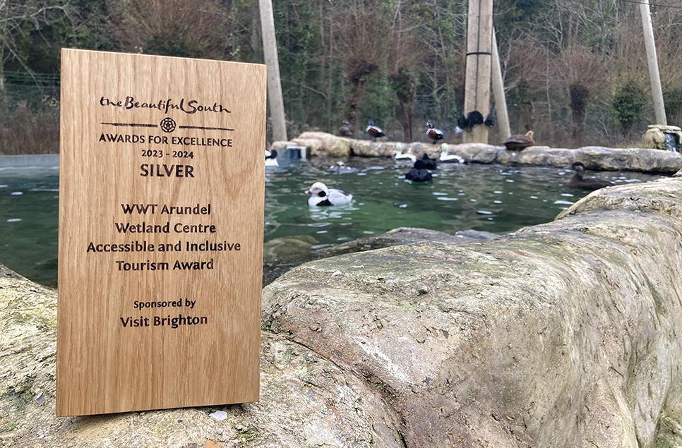 WWT Arundel wins a Silver Award for Accessible & Inclusive Tourism