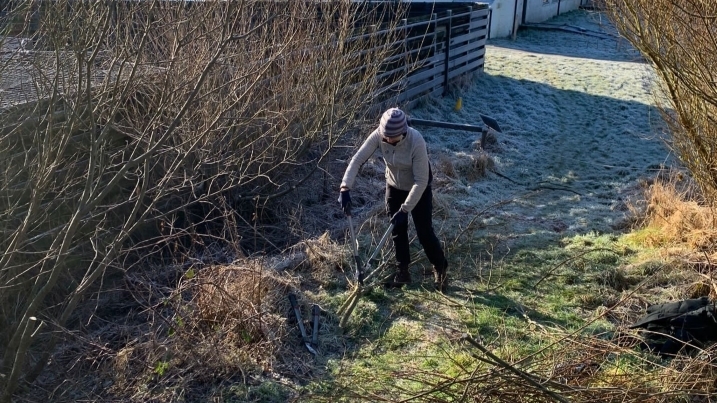 Fiona cutting willow.jpg