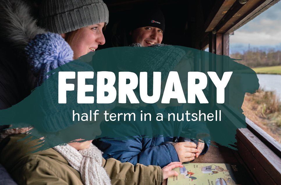 February half term in a nutshell