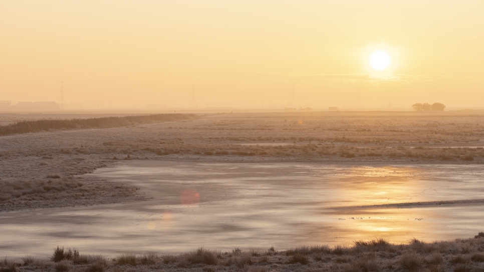 Wetland Word of the Week 8