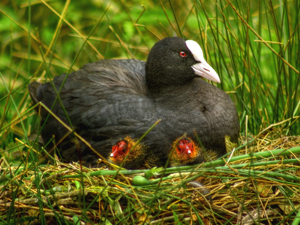 View: Walk With A Warden: April