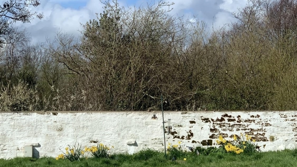 What has Hippocrates got to do with Caerlaverock?