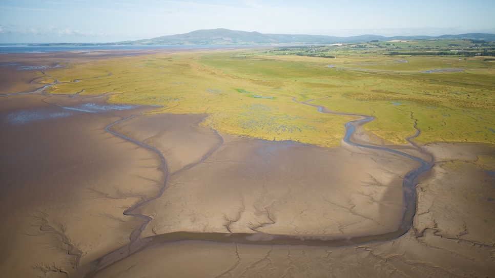 Wetland Word of the Week 12