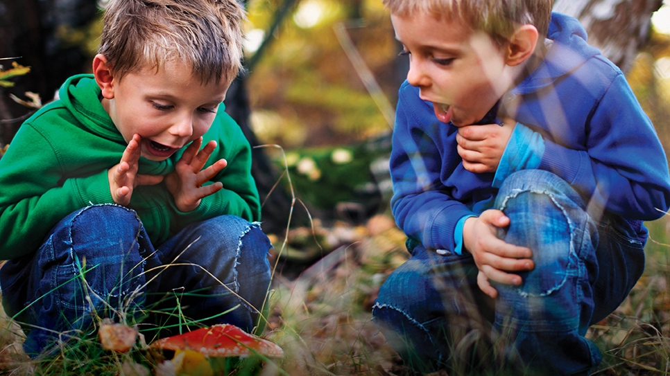 Explore the Super Natural this October half term at WWT Wetland Centres