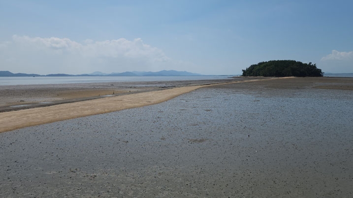Korean mudflats