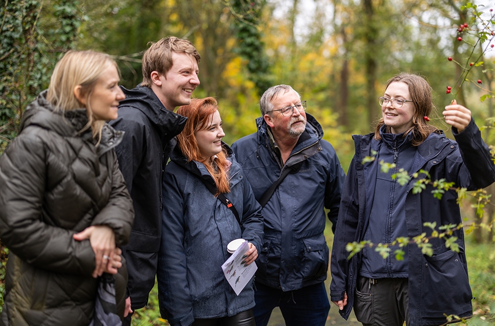View: Wild Walk - Autumn