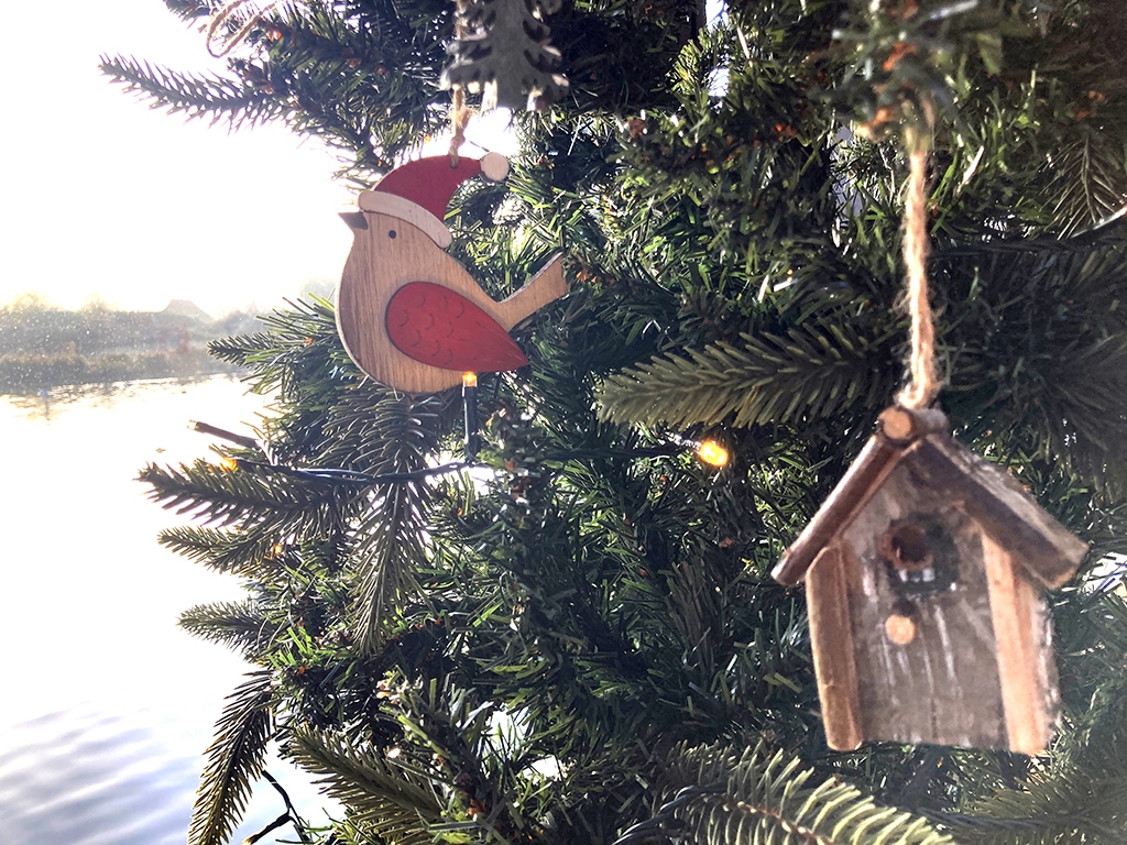 Holiday Hours & Activities