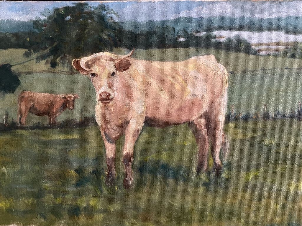 Rosalind Mulholland Exhibition
