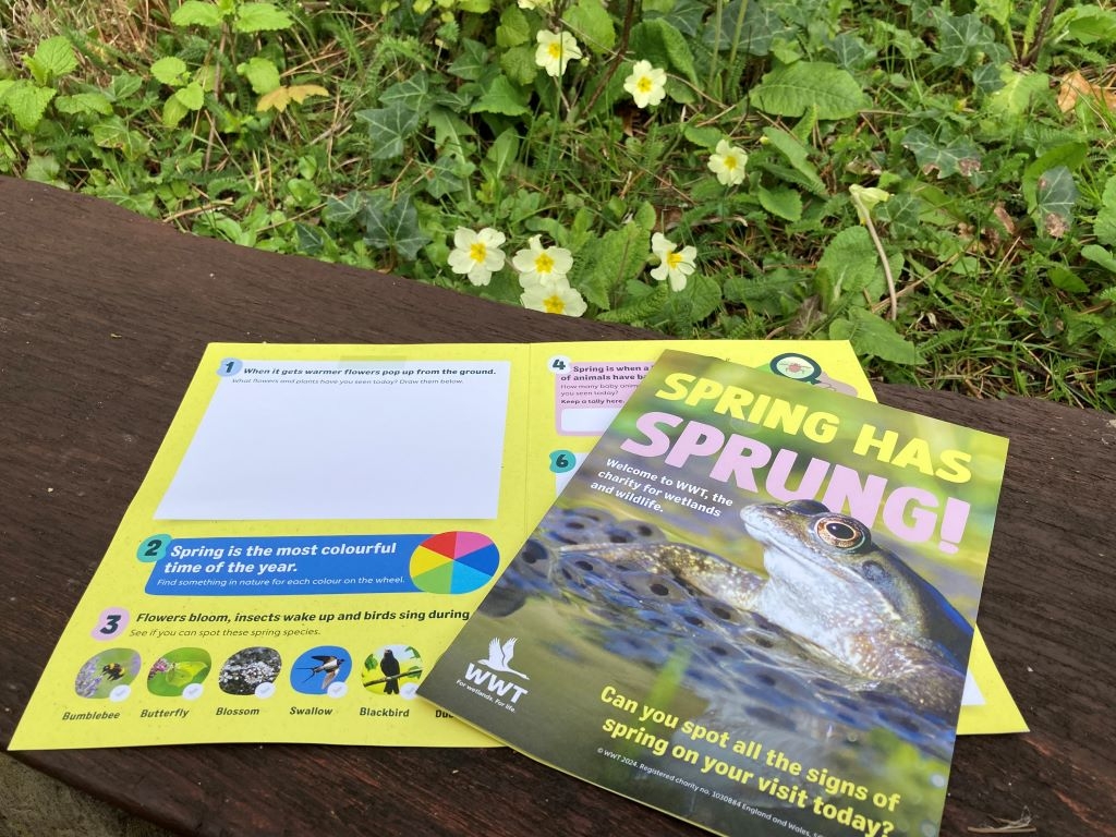 Spring Explorers Logbook