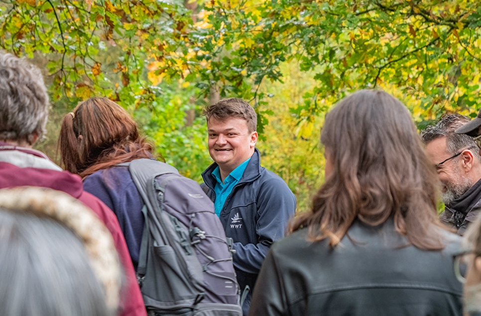 Wild Walk - the stories mud holds