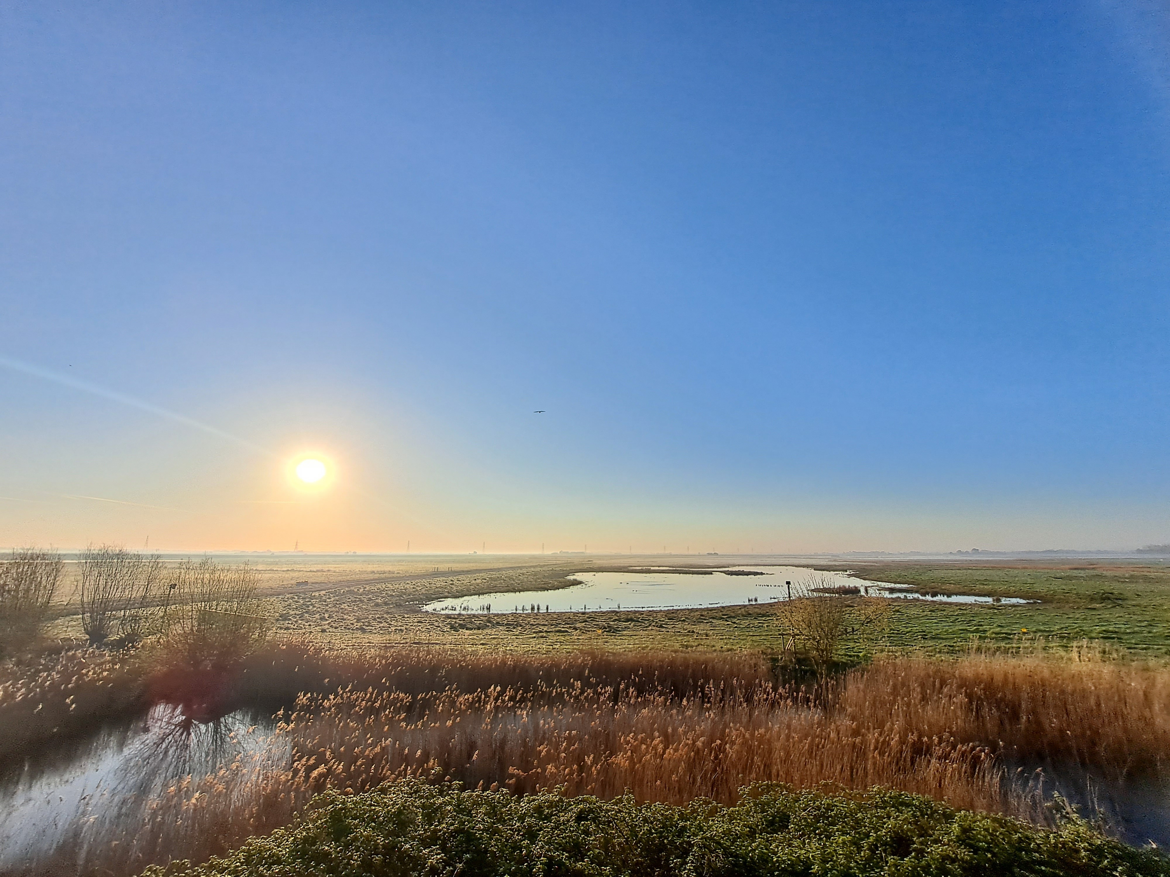 View: Early entry - members only