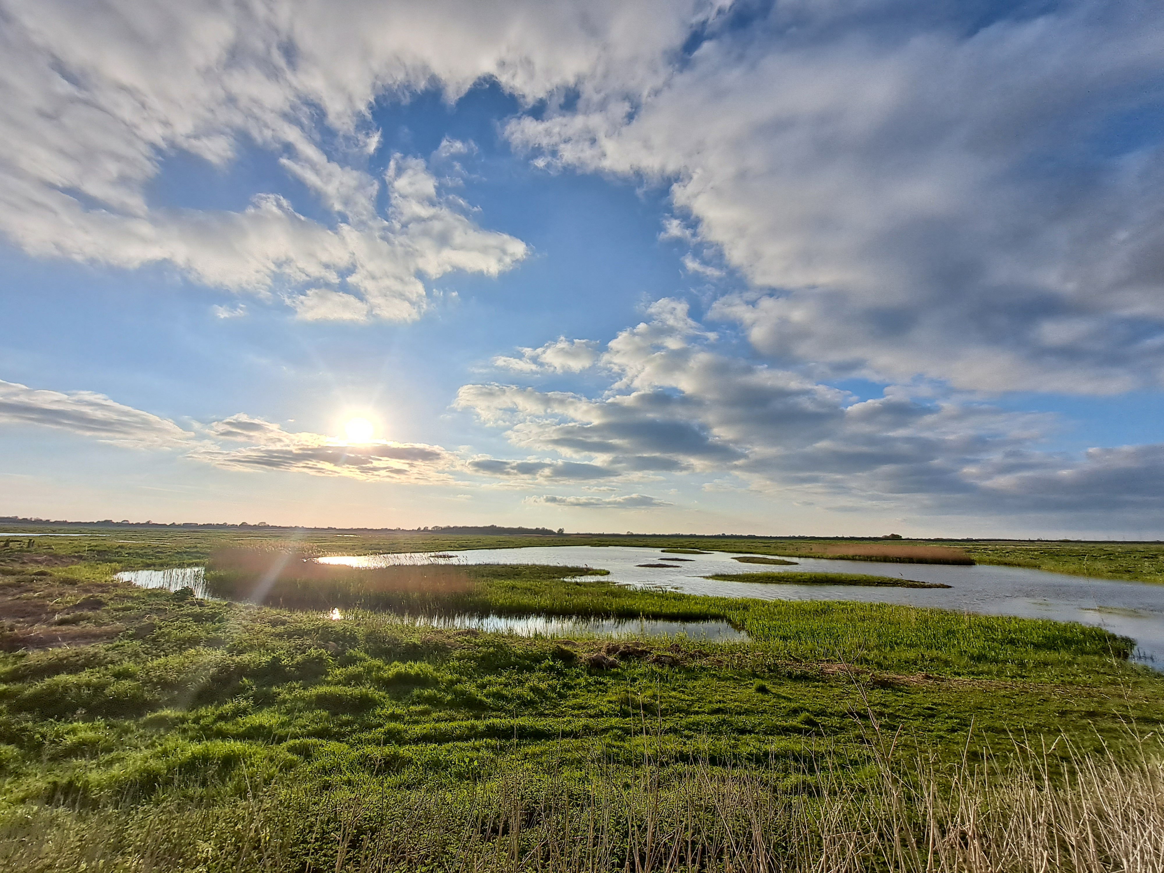 View: Discover Welney