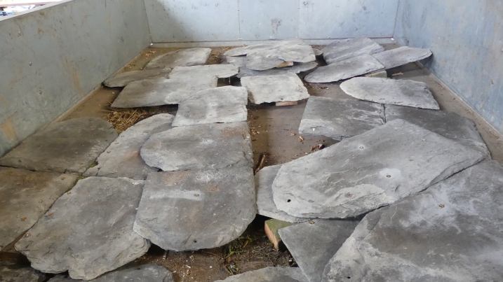 Built refugia gathered up 1.JPG