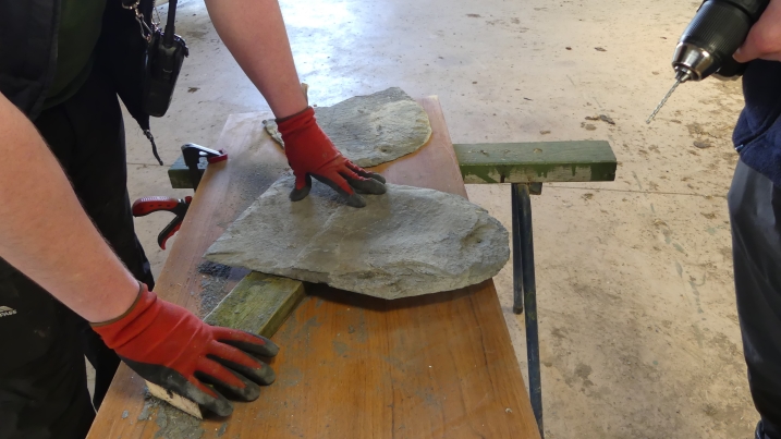 Refugia being built CMG 1.JPG