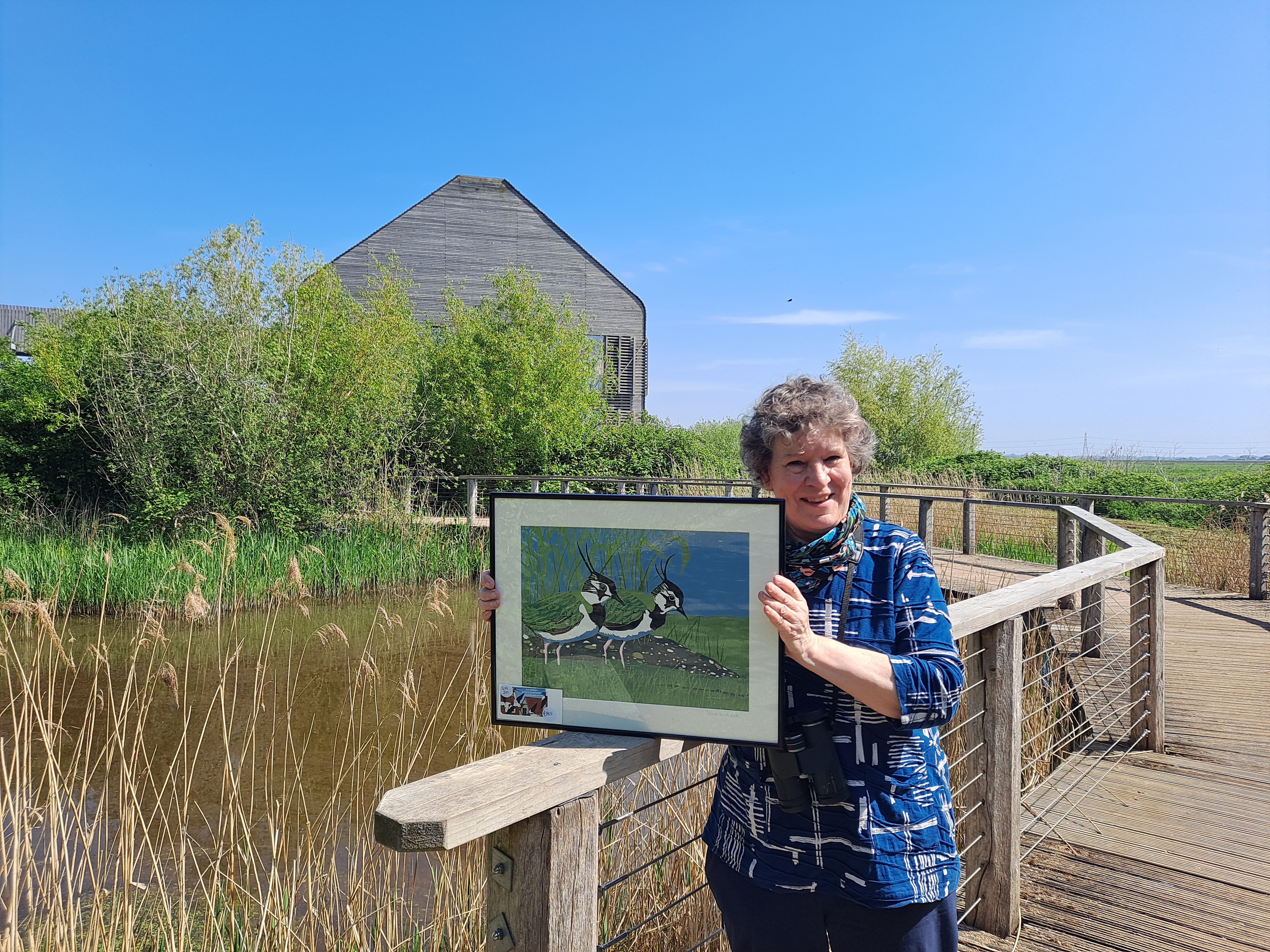 Meet the Artist - Sue Welfare