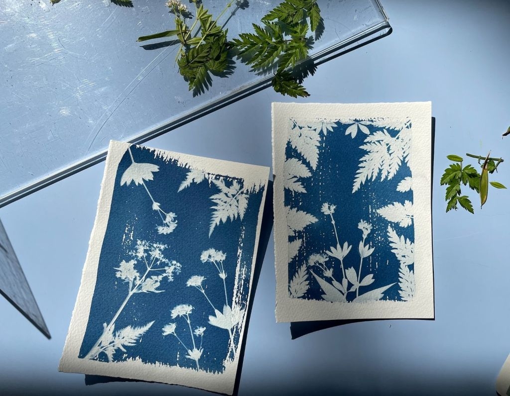View: Queer Ecology Cyanotype Printing Workshop