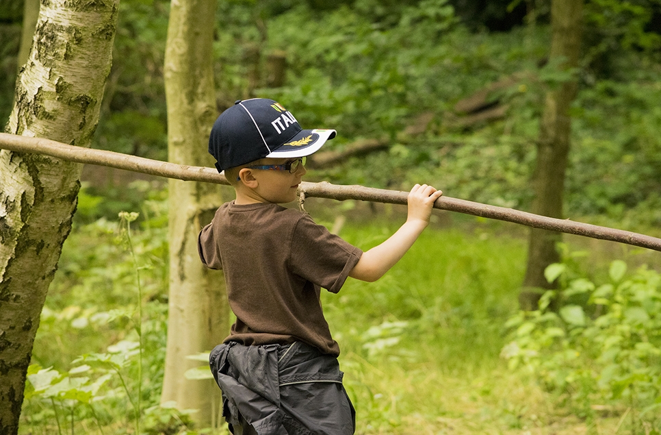 View: Den building