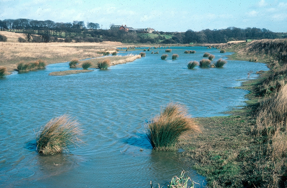 Wader Lake 1970s 966x635.jpg