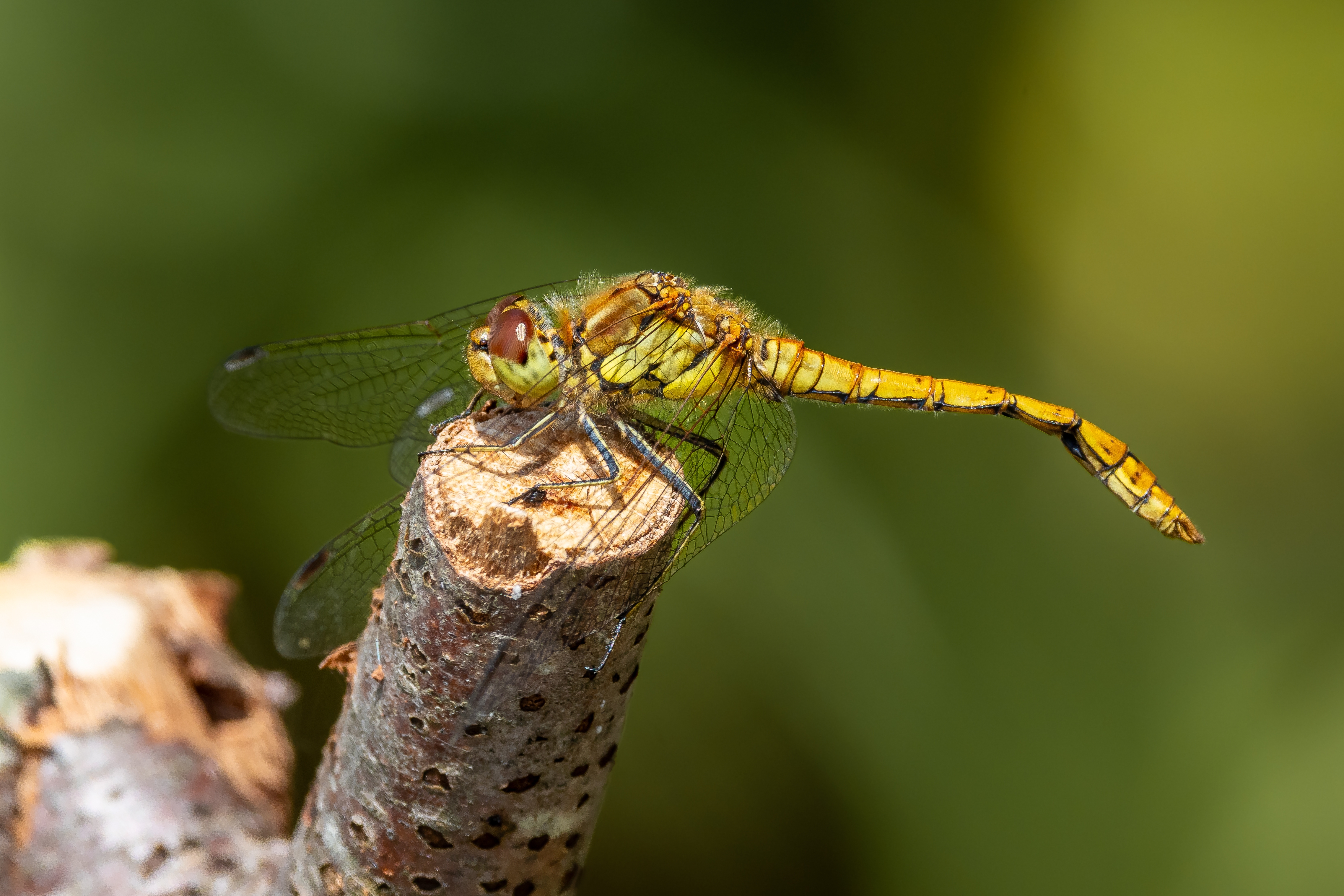 View: Walk With A Warden: October