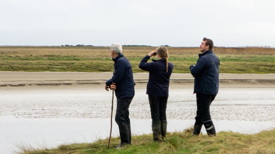 Counting Here, Counting There: The Beginning of the Monitoring Season