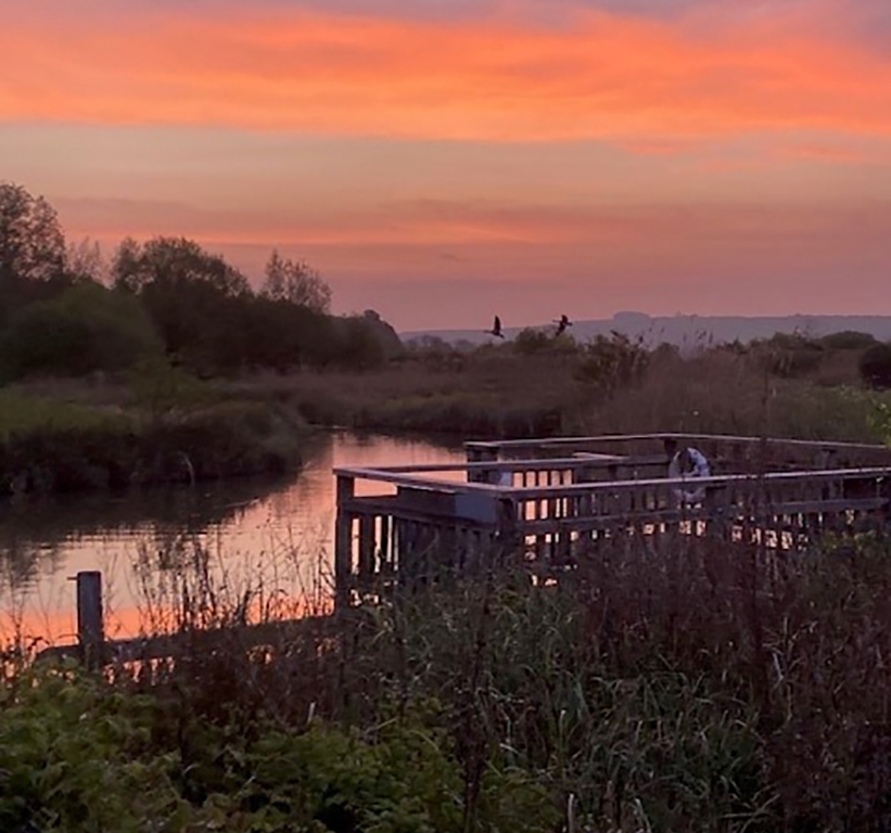 Dawn Chorus at WWT ARundel768x1024.jpg