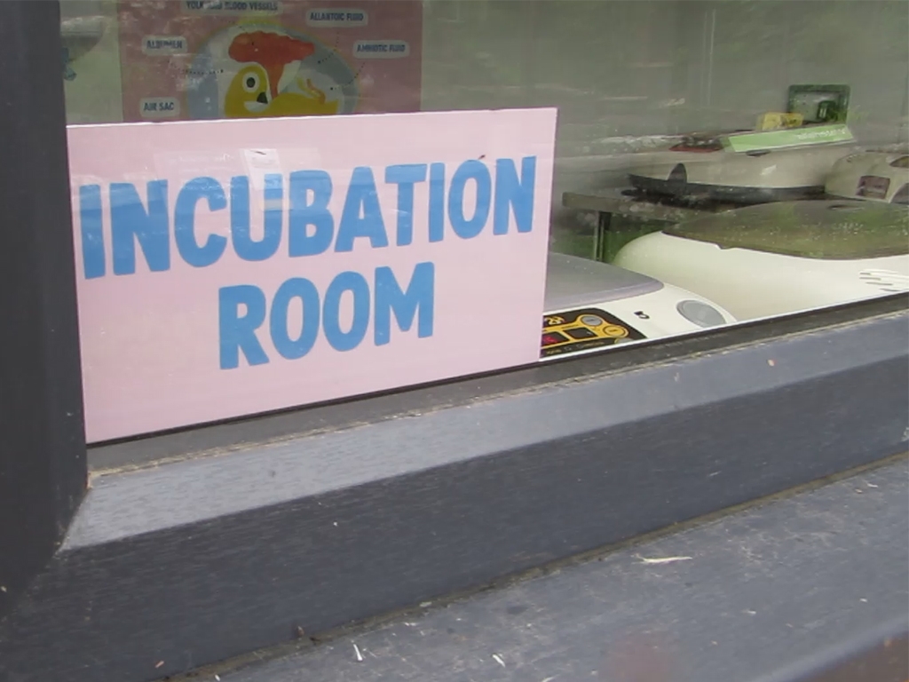 incubation sign 768x10224.jpg
