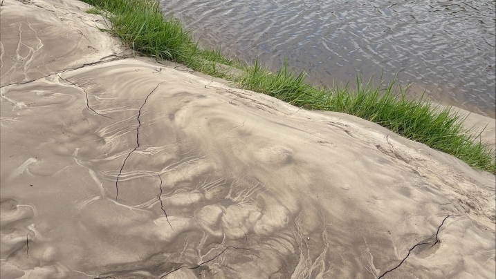 Marbelled silt_Madisyn Pett.jpg