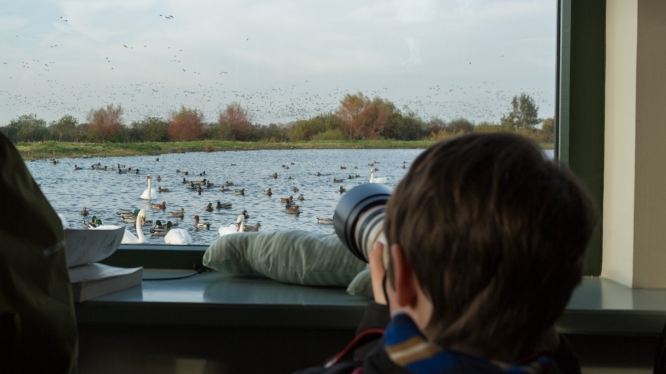 Become a Birder