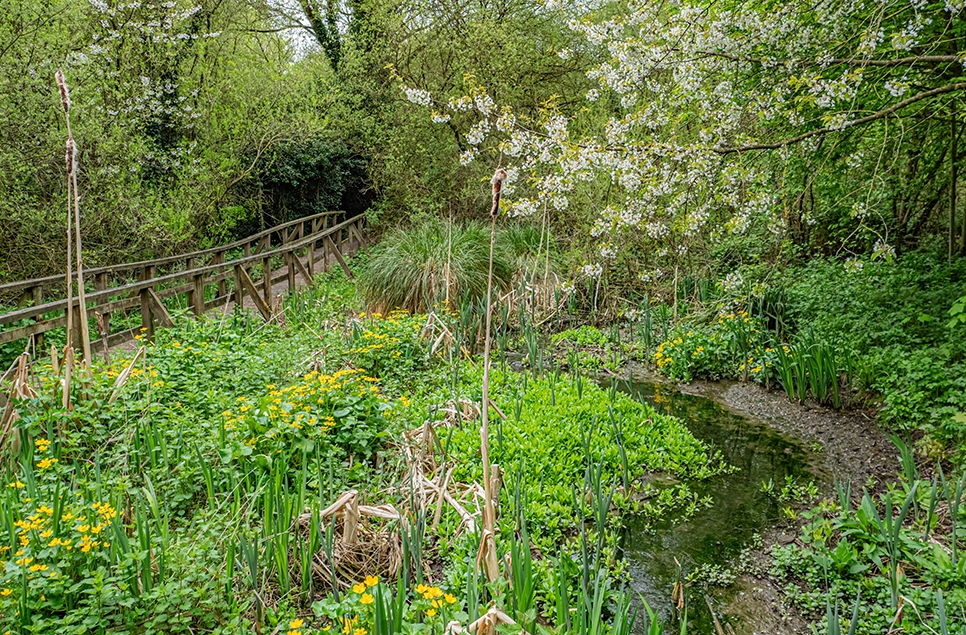 Wet Wood reopening tours