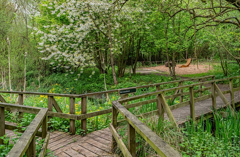 WWT Washington's Wet Wood set to reopen to the public