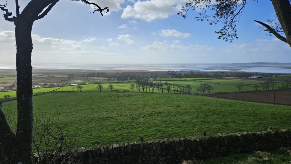 Walk Up Wardlaw