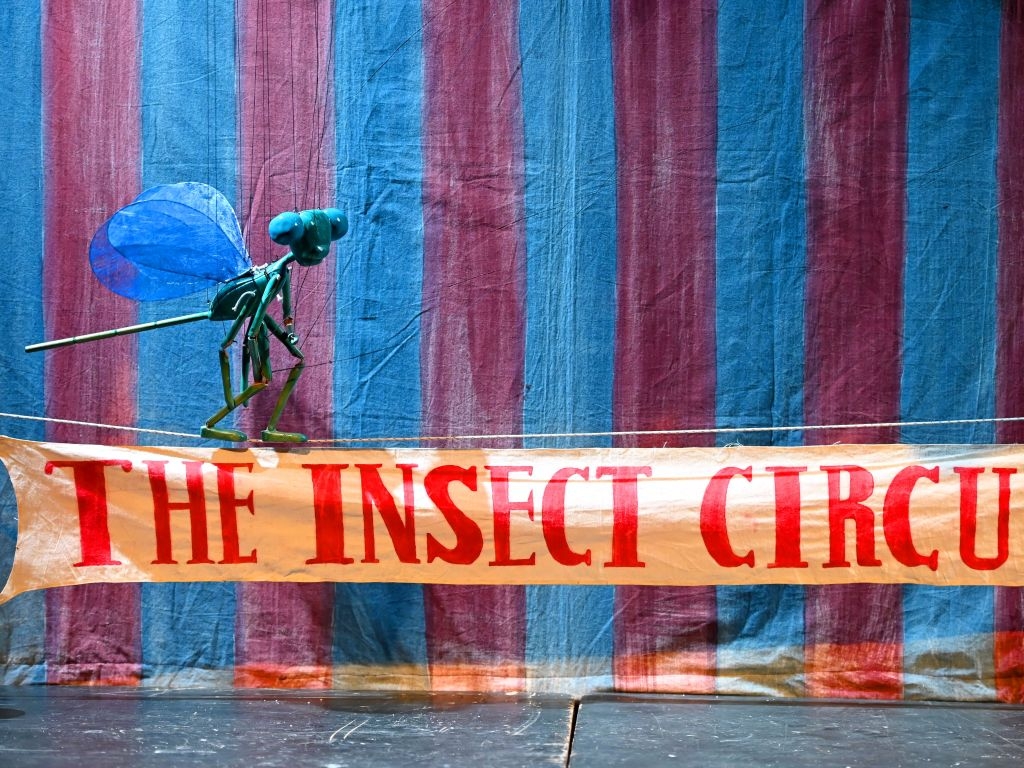 Insect Circus Puppet Show