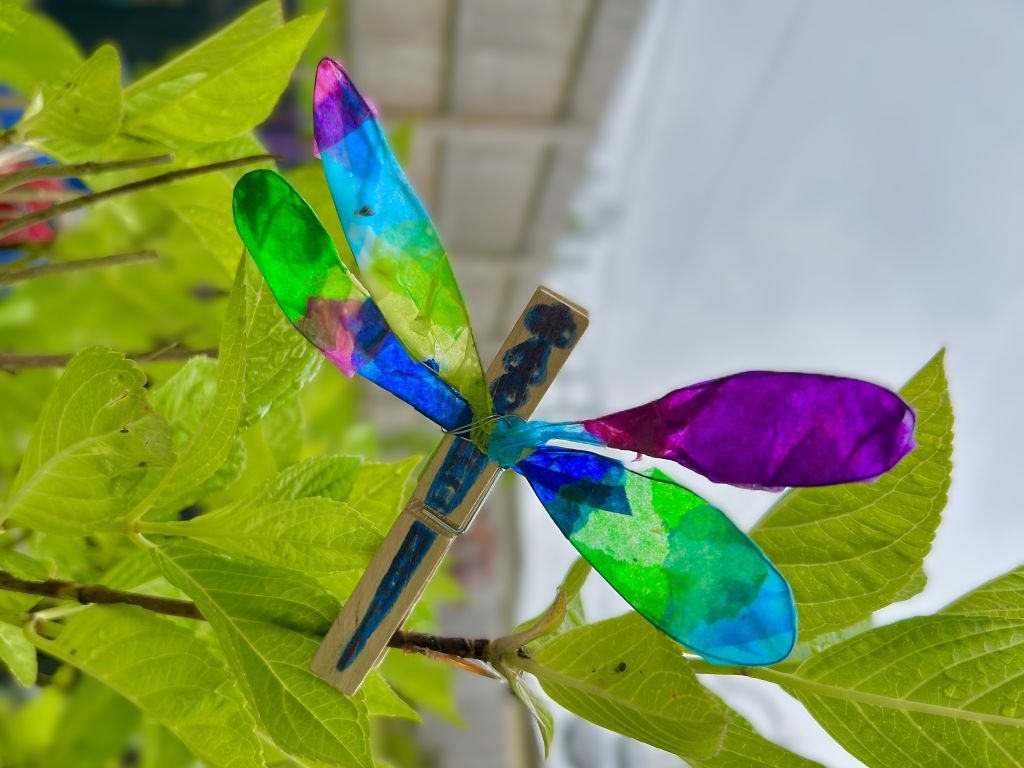 Stained Glass Effect Dragonfly Art Workshop