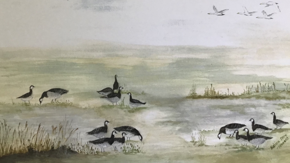 View: Gallery Exhibition: Around and about in Galloway