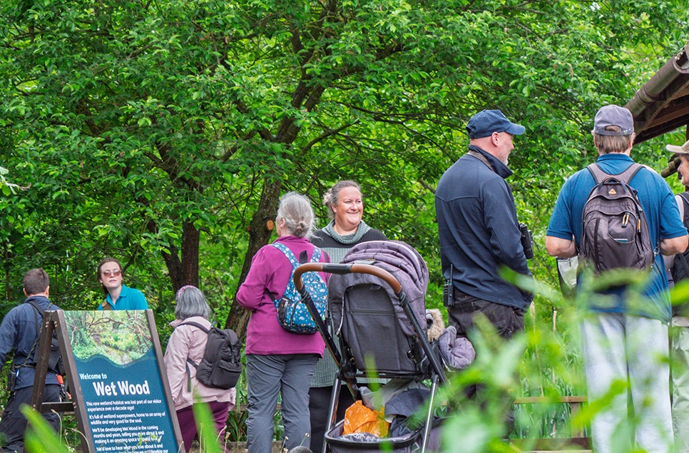 Gill at Wet Wood opening 966x635.jpg