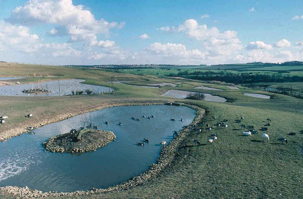 View over grounds and collection - 1970s 966x635.jpg