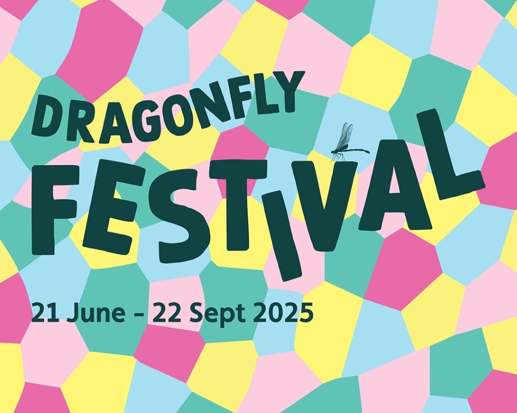 Dragonfly Festival