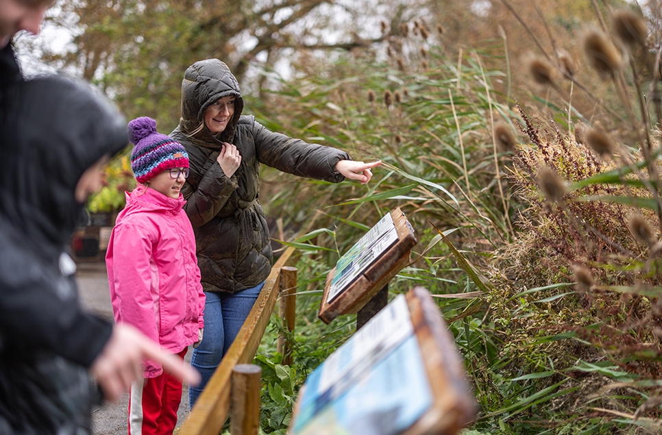 Visitors at Reedbed shelter in the rain - Gavin Forster - Oct 2024.jpg