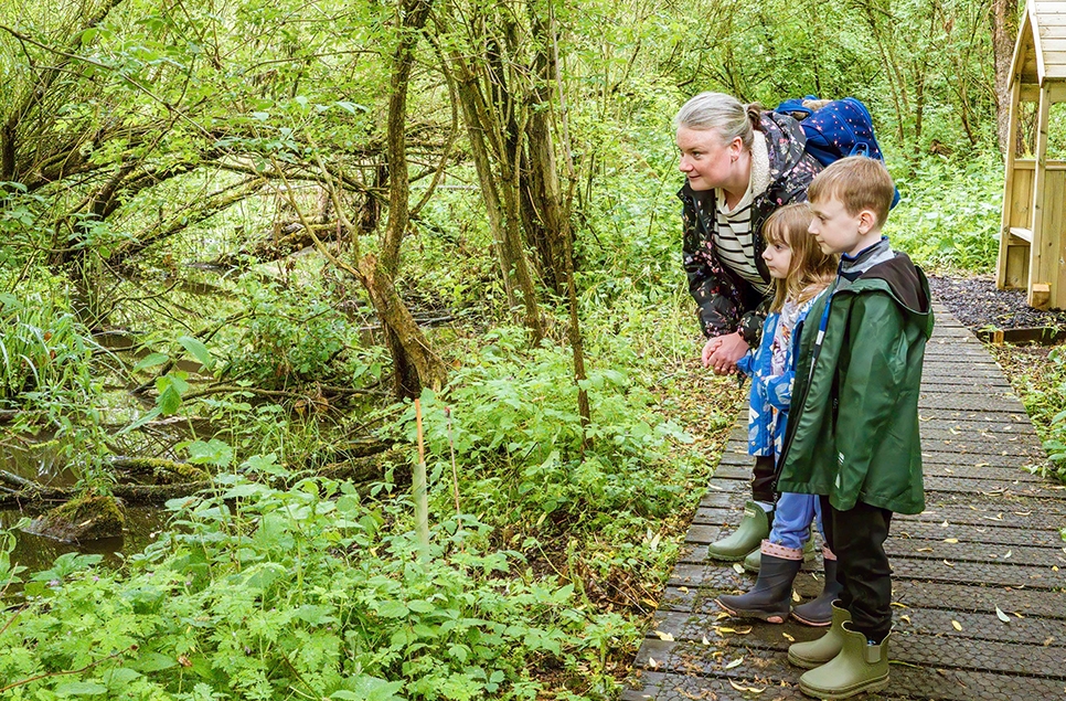 Wet Wood proves to be a big hit!