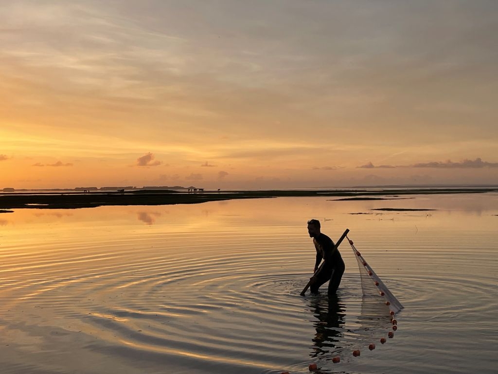 Swansea University Research Reveals Vital Role of Saltmarshes and Saline Lagoons in Supporting Fish Communities