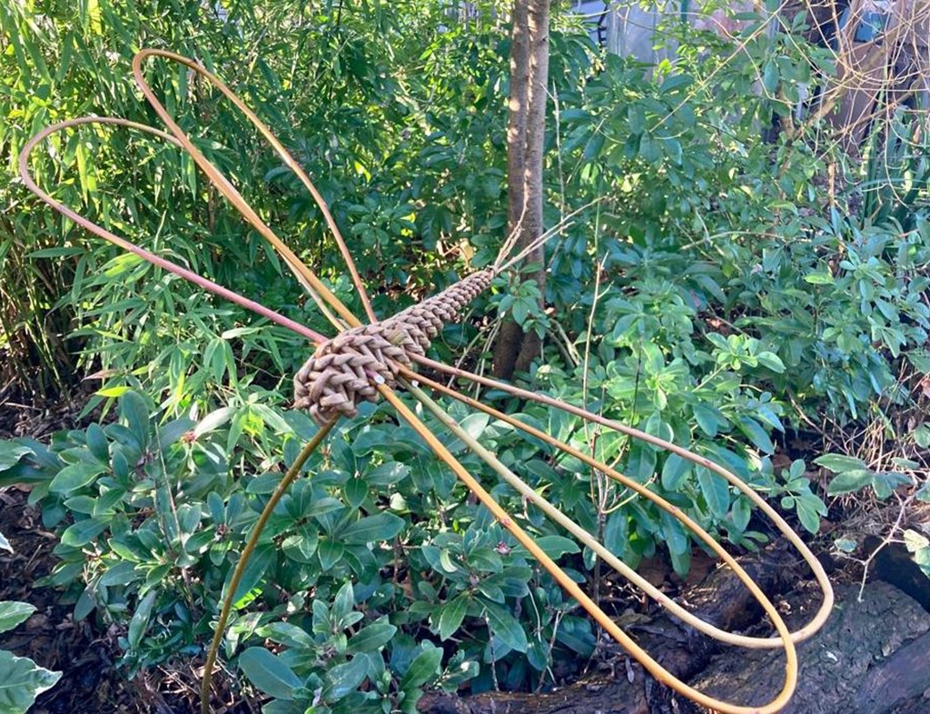 View: Dragonfly Willow Weaving Workshop