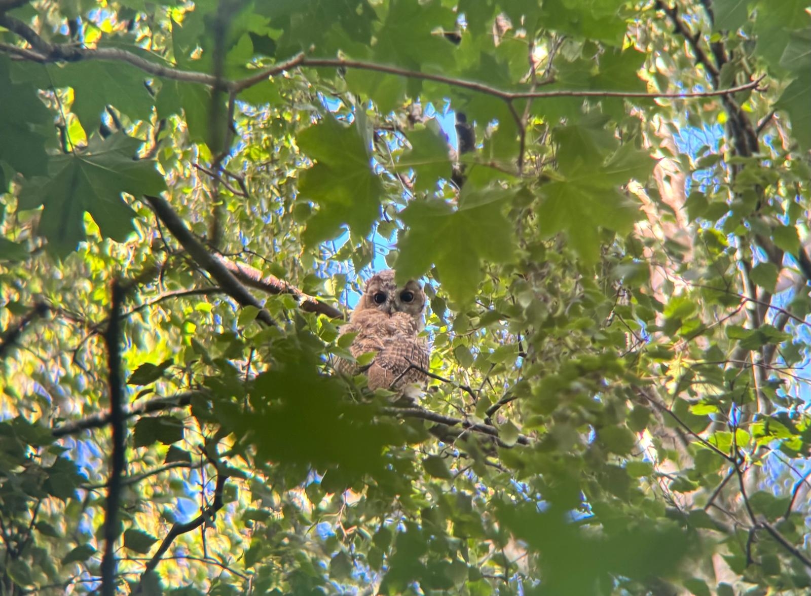 Latest Sightings